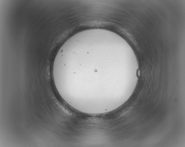 X0000074320633200609230027