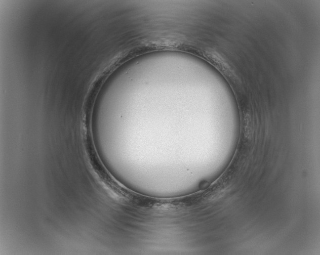 X0000074320634200609230027