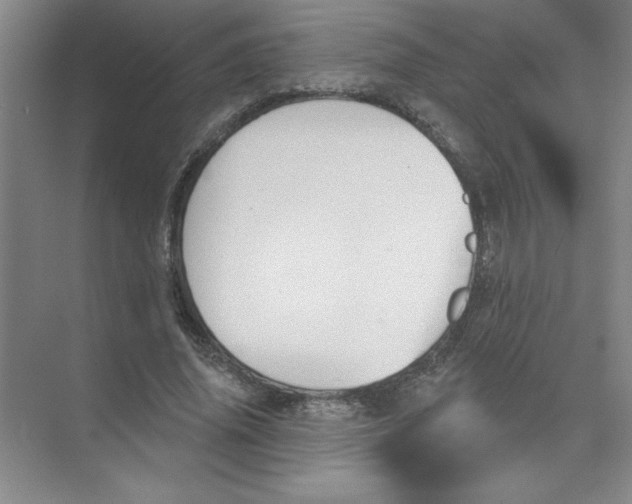 X0000074320636200609230027