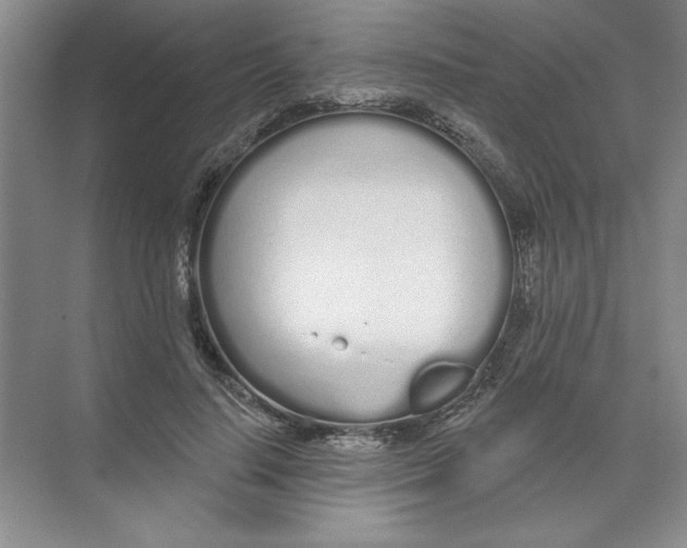 X0000074320644200609230027