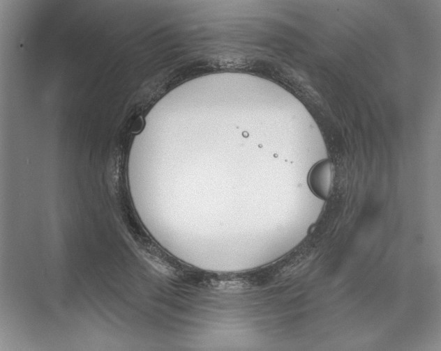 X0000074320645200609230027