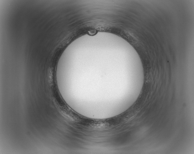 X0000074320646200609230027