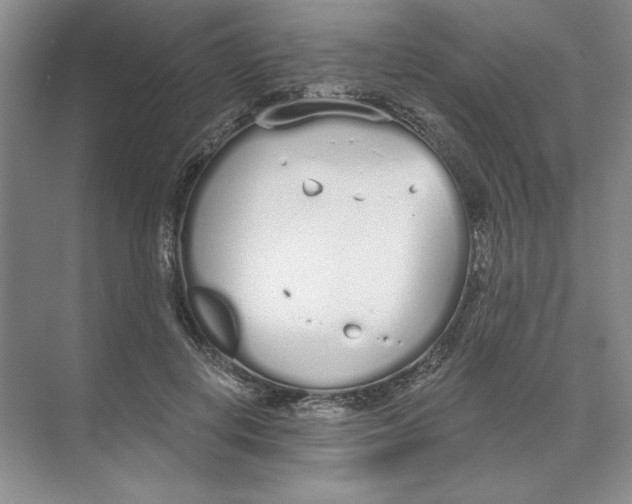 X0000074320648200609230028