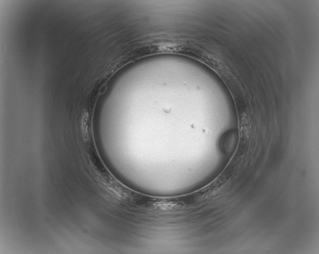 X0000074320650200609230028