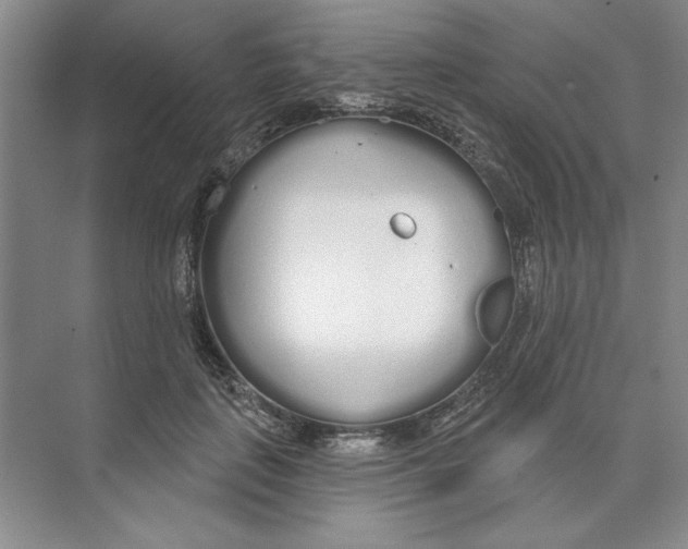 X0000074320651200609230028