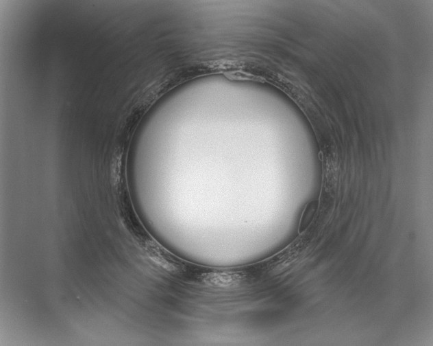 X0000074320652200609230028