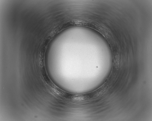 X0000074320653200609230028