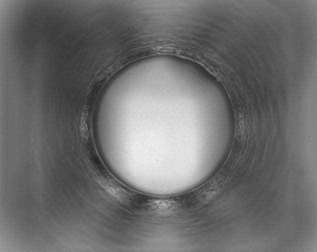 X0000074320654200609230028