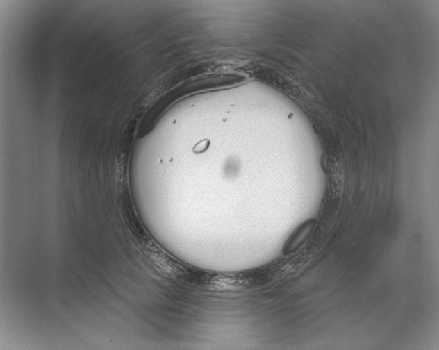 X0000074320657200609230028