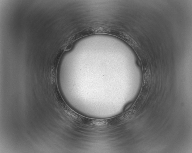 X0000074320659200609230028