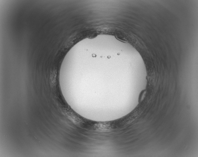 X0000074320660200609230028