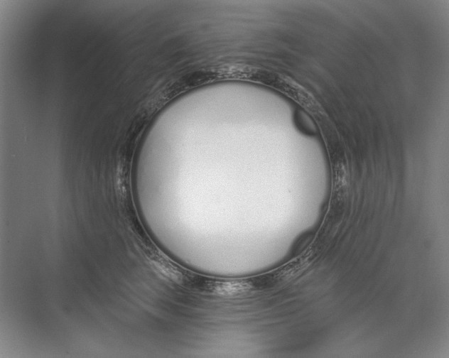 X0000074320663200609230028