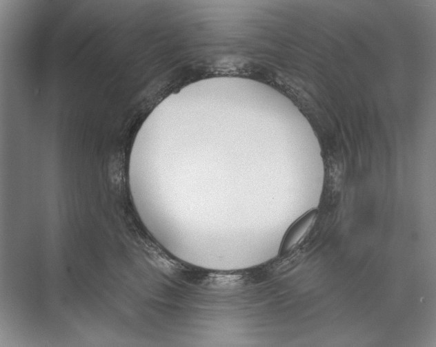 X0000074320665200609230028