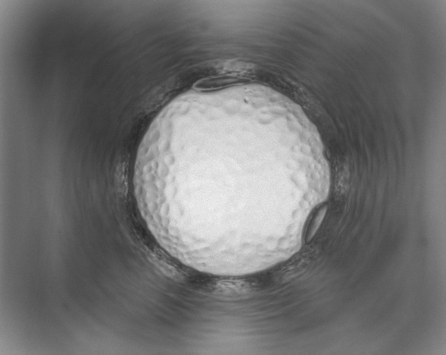 X0000074320666200609230028