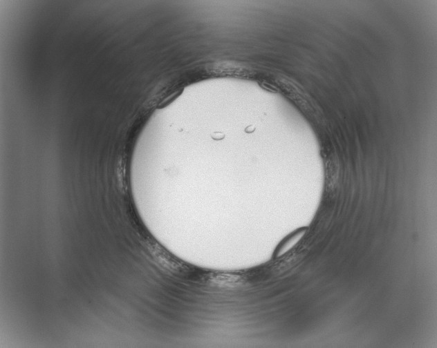 X0000074320669200609230028