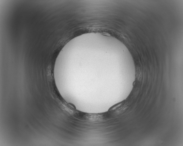 X0000074320670200609230028