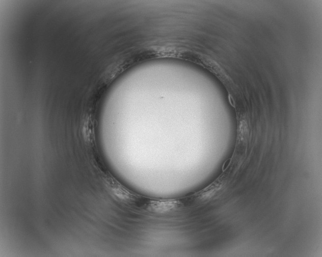 X0000074320671200609230028