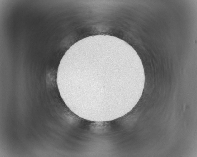 X0000074320672200609230028