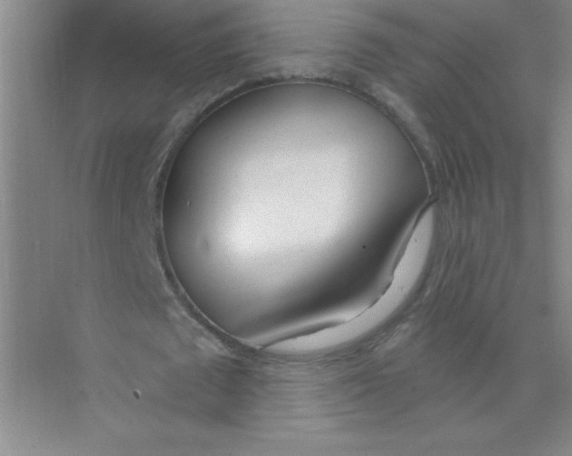 X0000074320673200609230027