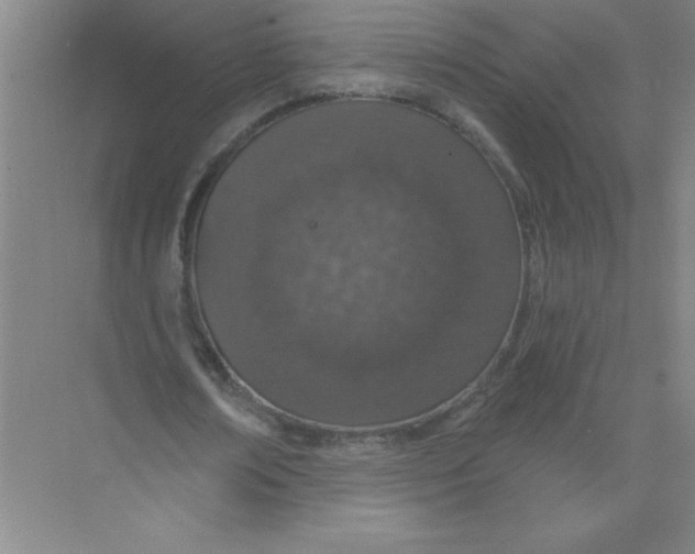 X0000074320674200609230027