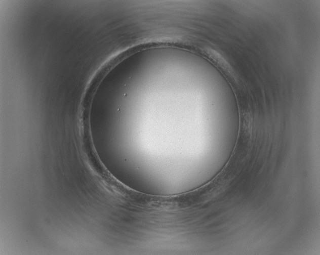 X0000074320676200609230027