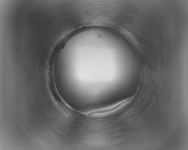 X0000074320680200609230027