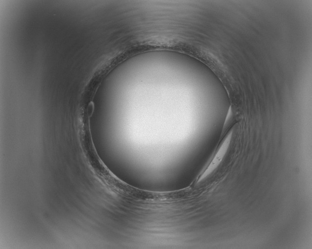 X0000074320688200609230027