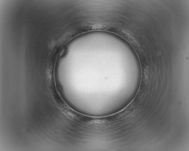 X0000074320691200609230027