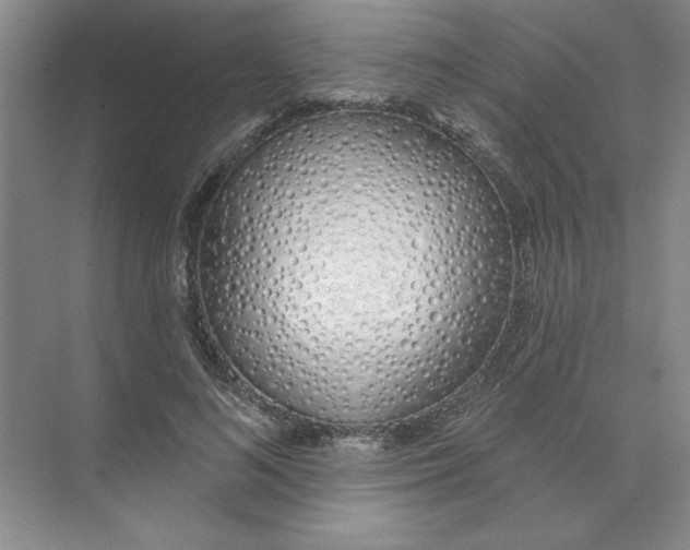 X0000074320692200609230027