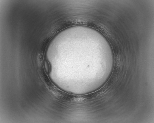 X0000074320695200609230027