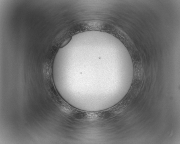 X0000074320701200609230027