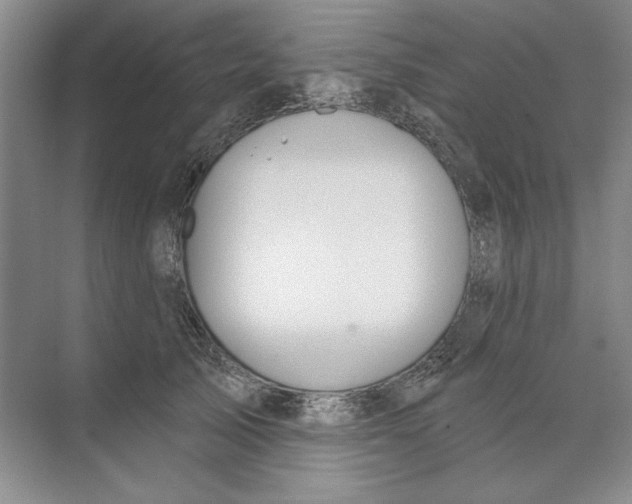 X0000074320705200609230027