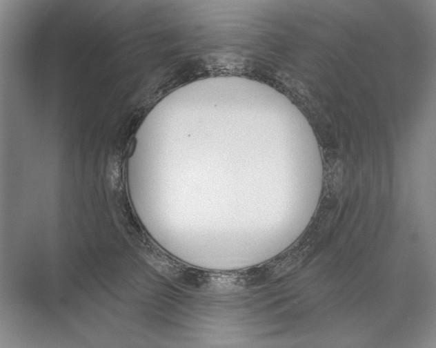 X0000074320709200609230026