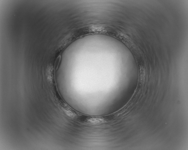 X0000074320712200609230026