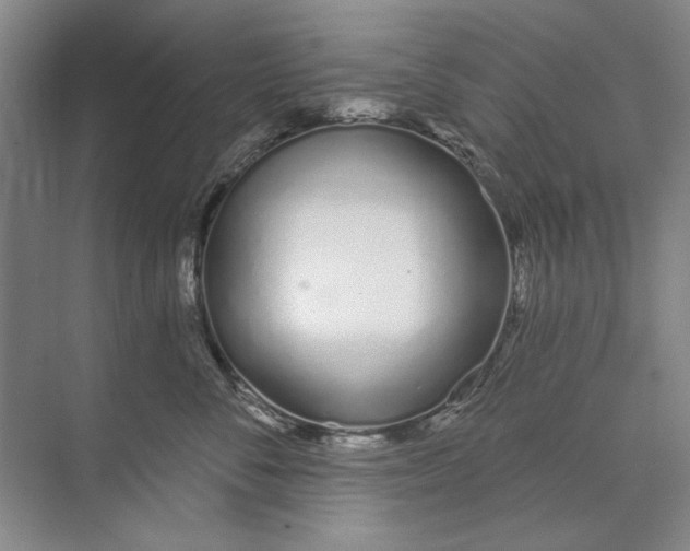 X0000074320716200609230026