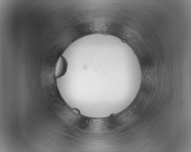 X0000074320717200609230026