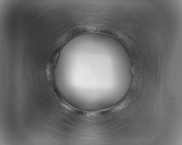 X0000074320720200609230026