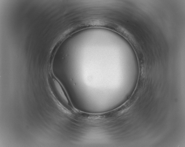 X0000074320725200609230026