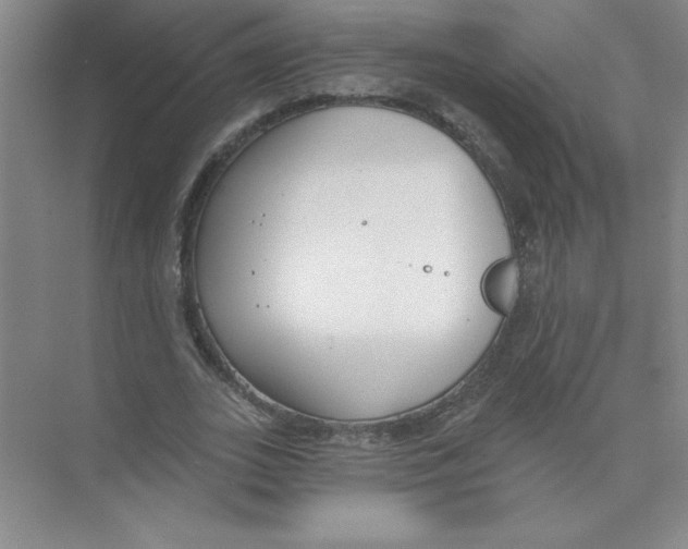 X0000074320727200609230026