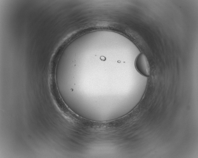 X0000074320728200609230026