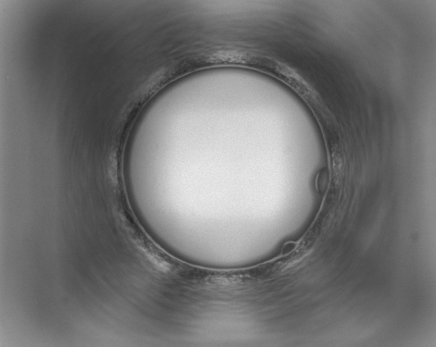 X0000074320729200609230026