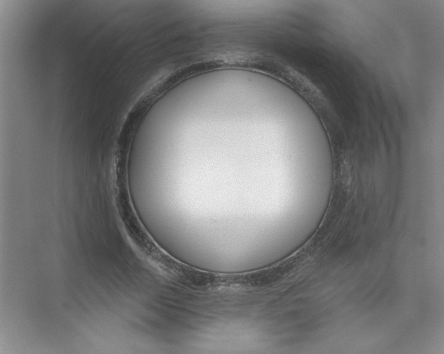 X0000074320730200609230026