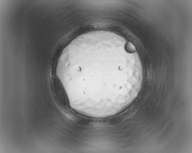 X0000074320733200609230026