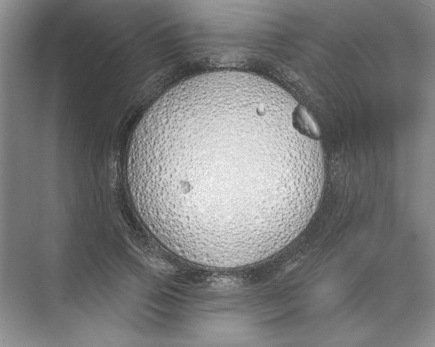 X0000074320741200609230026