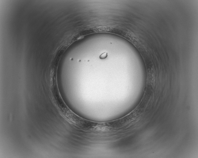 X0000074320742200609230026