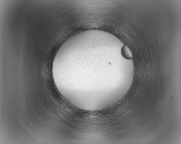 X0000074320743200609230026