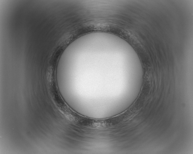 X0000074320744200609230026