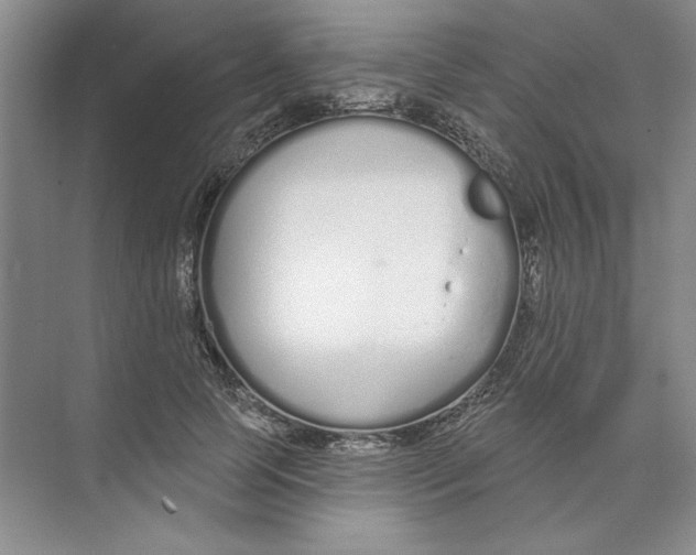 X0000074320745200609230026