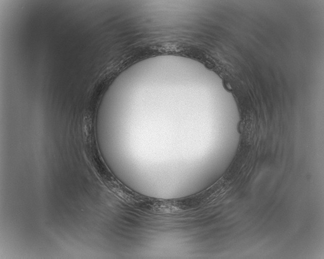 X0000074320747200609230026