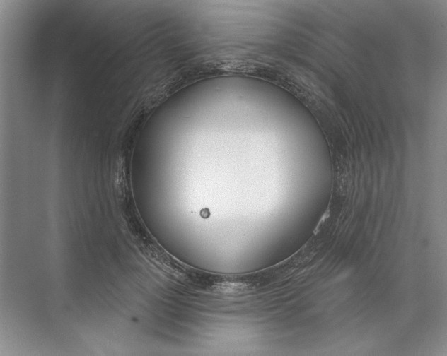 X0000074320748200609230026